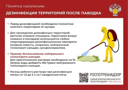 Дезинфекция в послепаводковый период